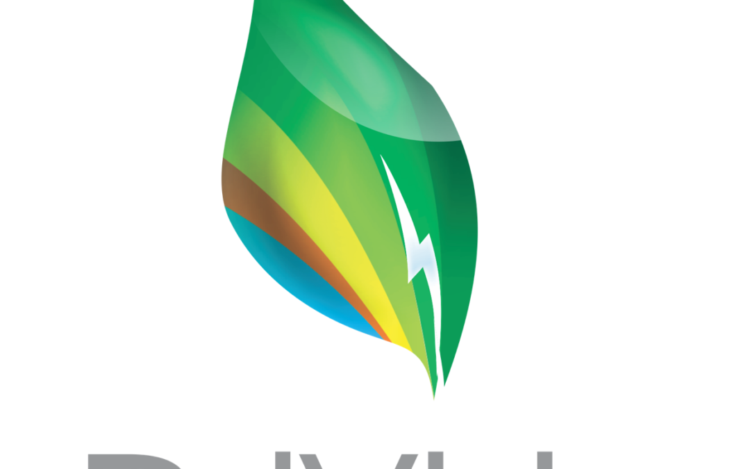 PriVida Power Limited